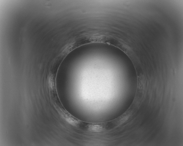 X0000081350287200701182055