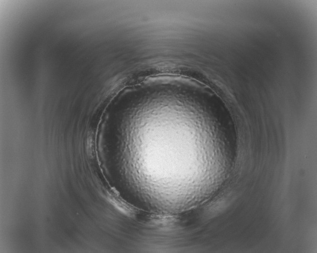 X0000081350288200701182055