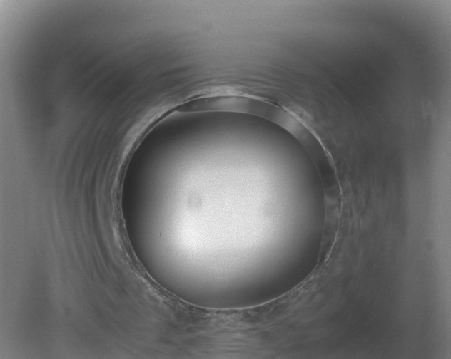 X0000081350289200701182054
