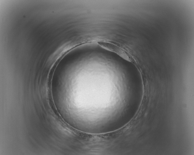 X0000081350290200701182054