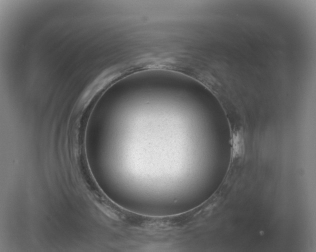 X0000081350291200701182054