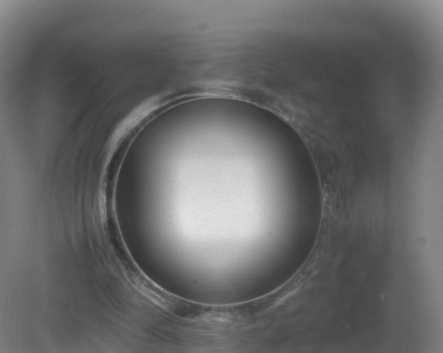 X0000081350294200701182054