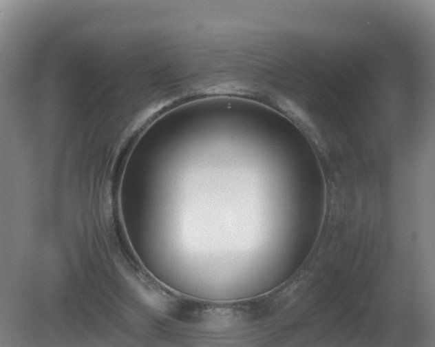 X0000081350298200701182054