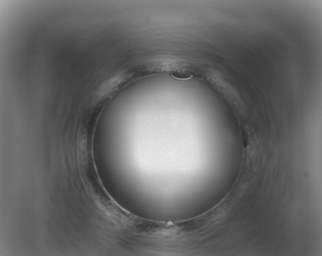 X0000081350306200701182054