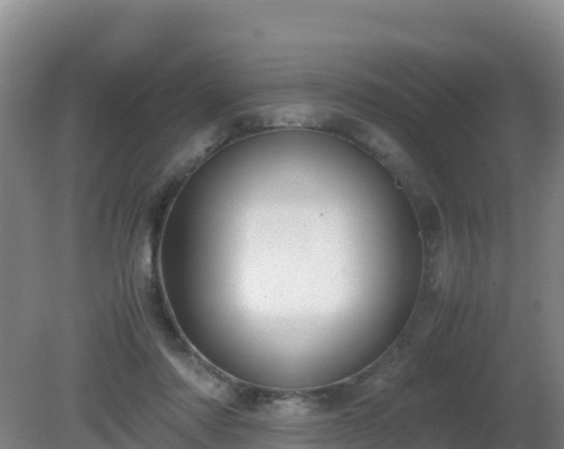 X0000081350310200701182053