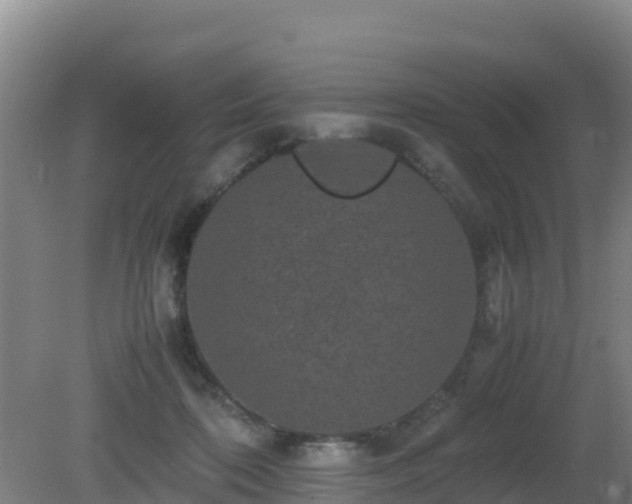 X0000081350316200701182053