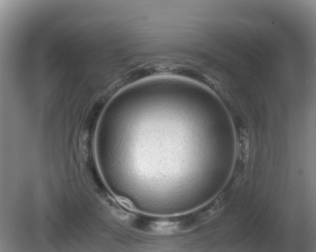 X0000081350319200701182053