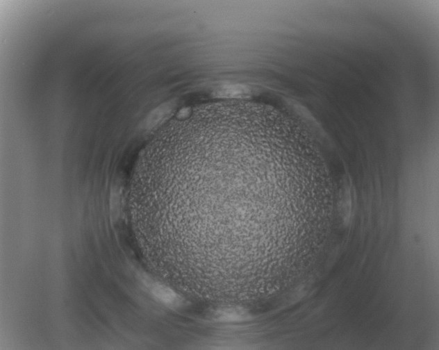 X0000081350322200701182053