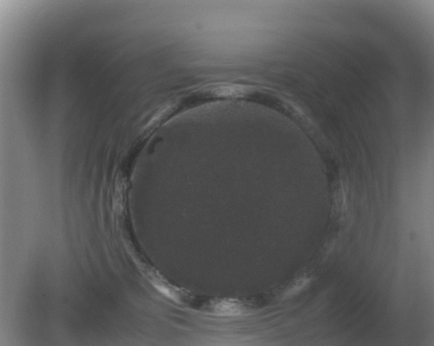 X0000081350325200701182053