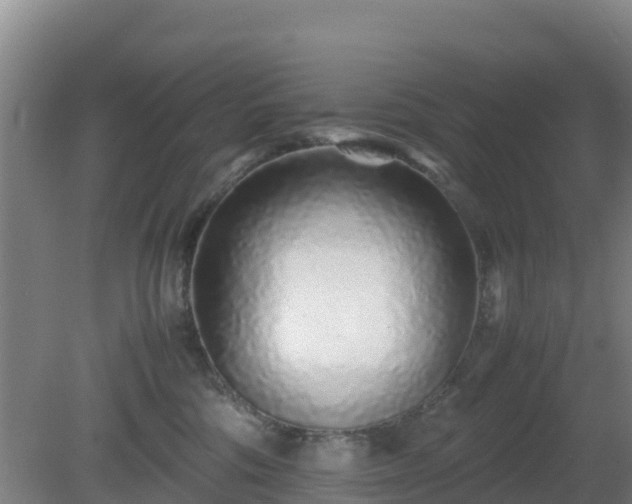 X0000081350330200701182053