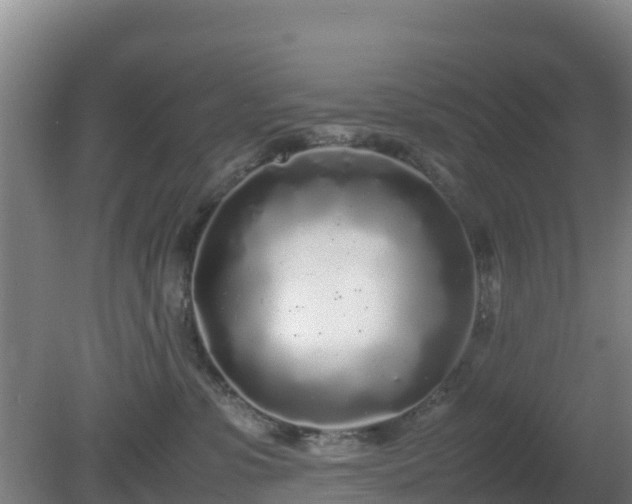 X0000081350331200701182053