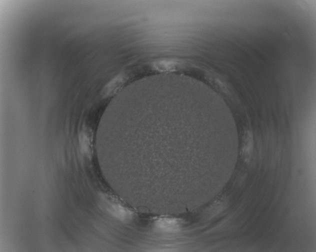 X0000081350332200701182053
