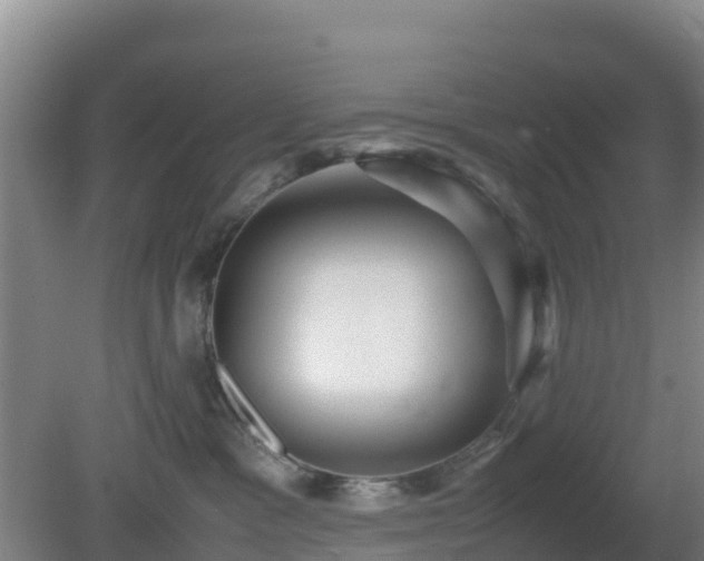 X0000081350333200701182053