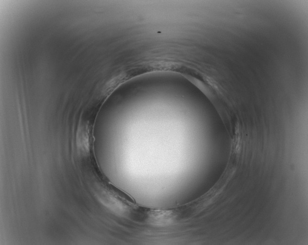 X0000081350334200701182053