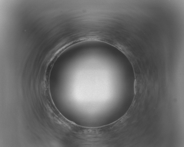 X0000081350338200701182052
