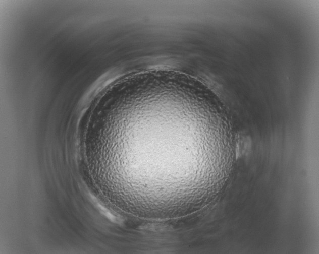 X0000081350339200701182052