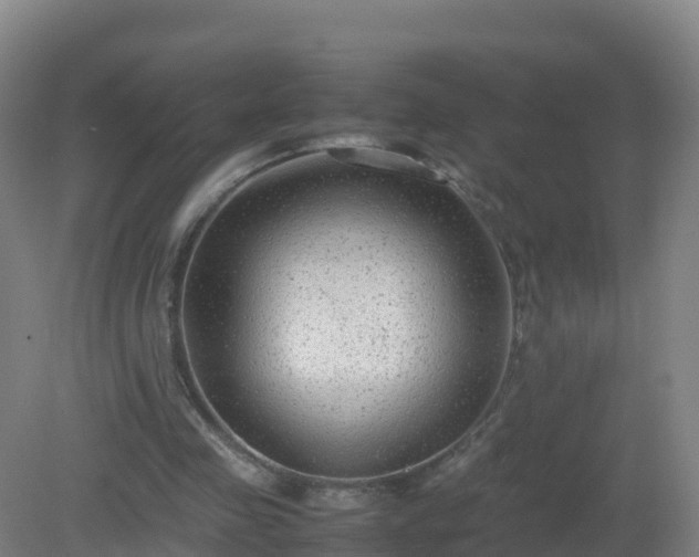 X0000081350341200701182052