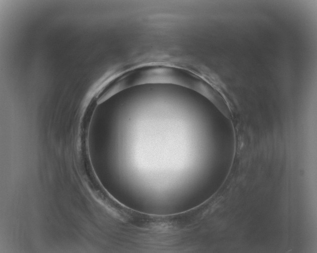 X0000081350344200701182052