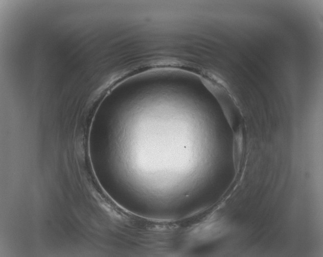 X0000081350345200701182052