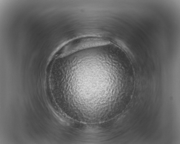 X0000081350346200701182052