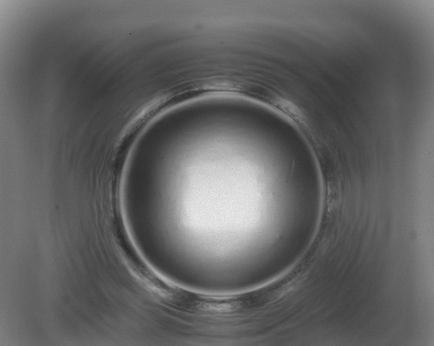 X0000081350349200701182052