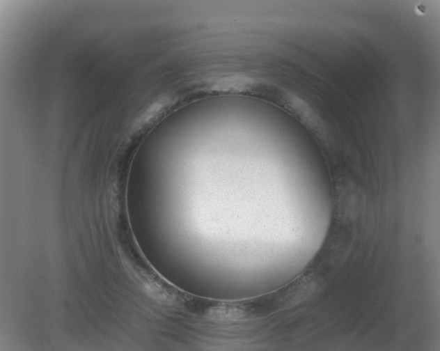 X0000081350354200701182052