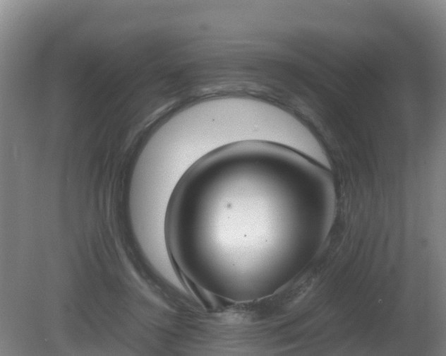 X0000081350356200701182053