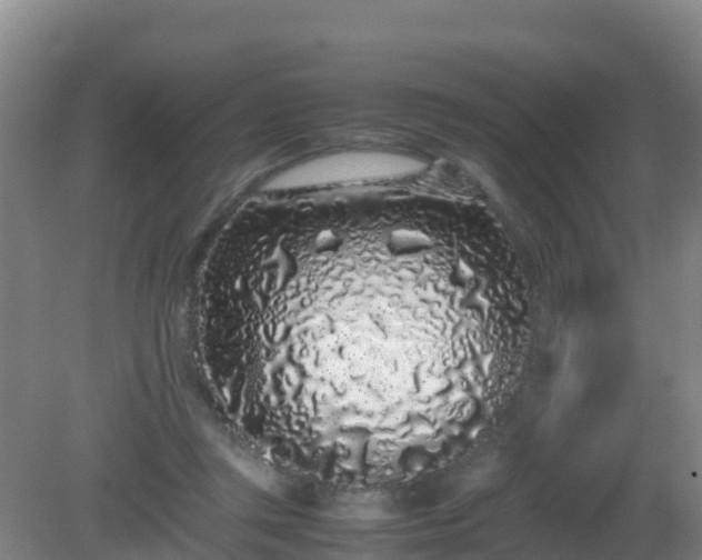 X0000081350357200701182053