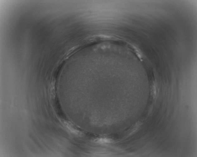 X0000081350360200701182053