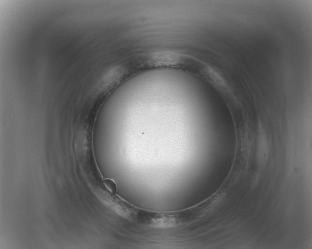X0000081350362200701182053