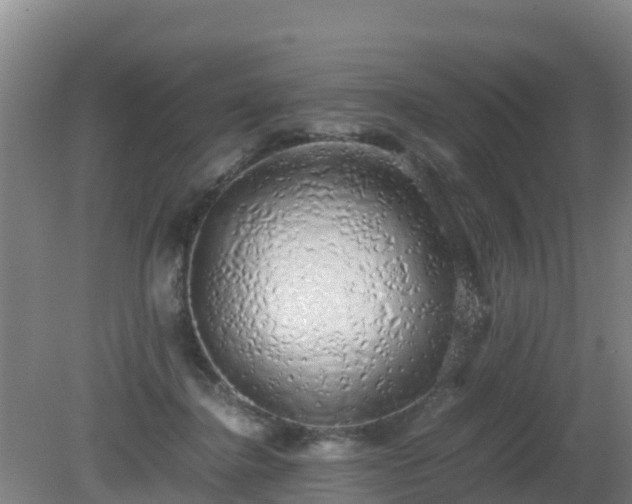 X0000081350364200701182053