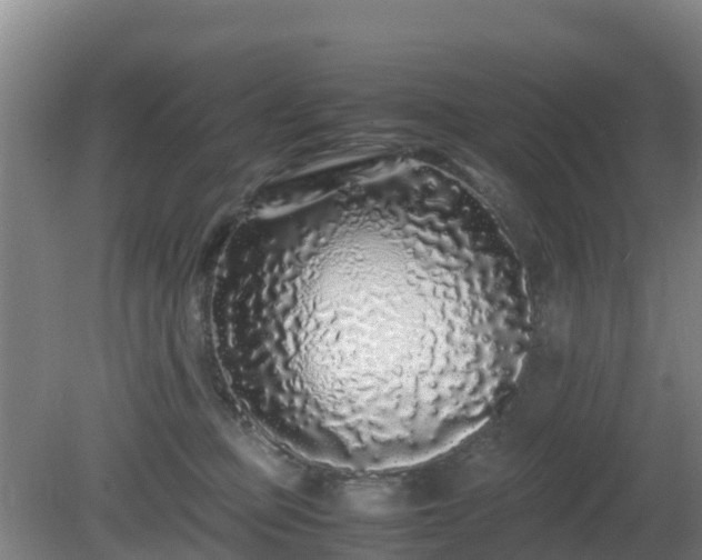 X0000081350373200701182053