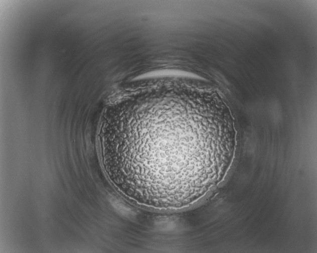 X0000081350377200701182053