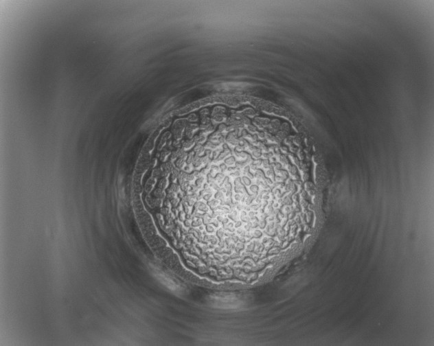 X0000081350381200701182053