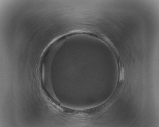 X0000081350387200701182052