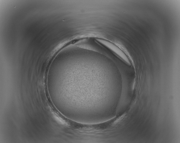 X0000081350389200701182052
