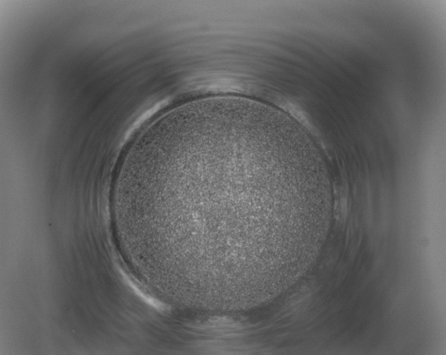 X0000081350390200701182052