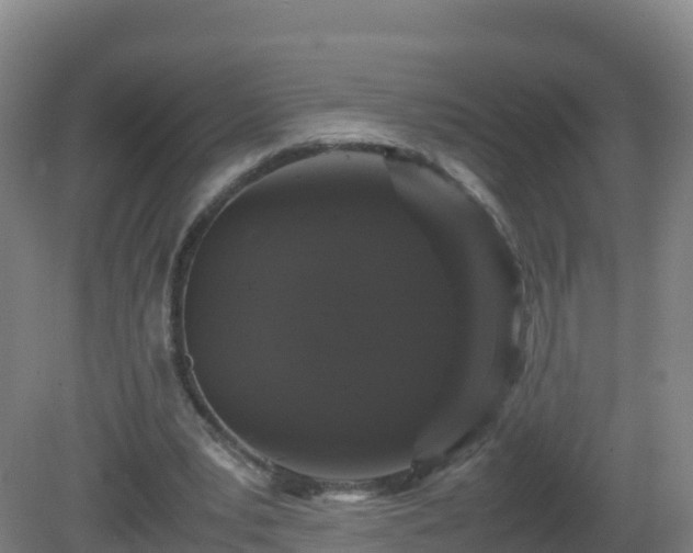 X0000081350391200701182052