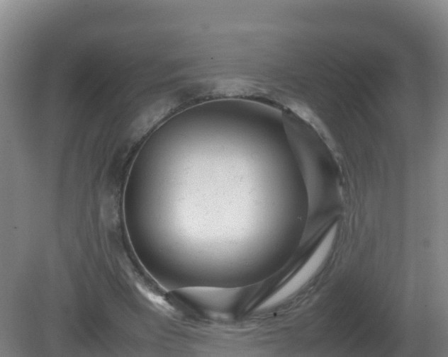 X0000081350393200701182052