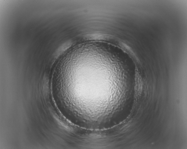 X0000081350394200701182052