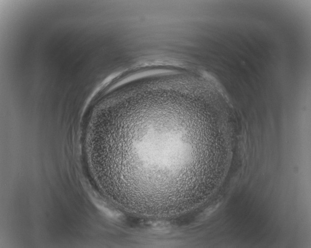 X0000081350395200701182052