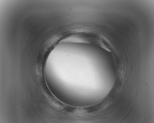 X0000081350403200701182052