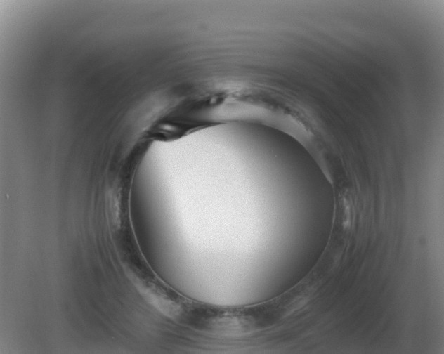 X0000081350404200701182052
