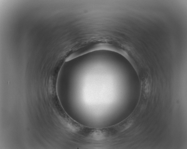 X0000081350416200701182052