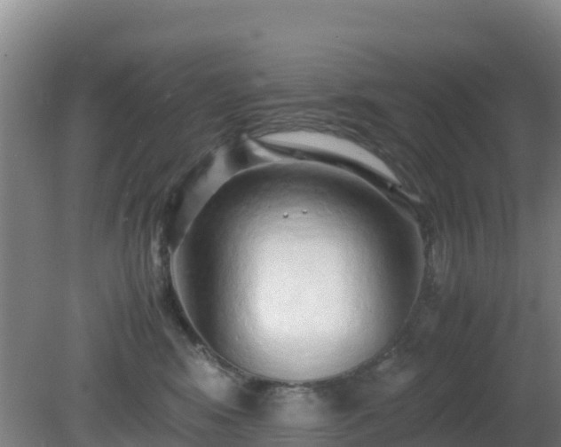 X0000081350424200701182052