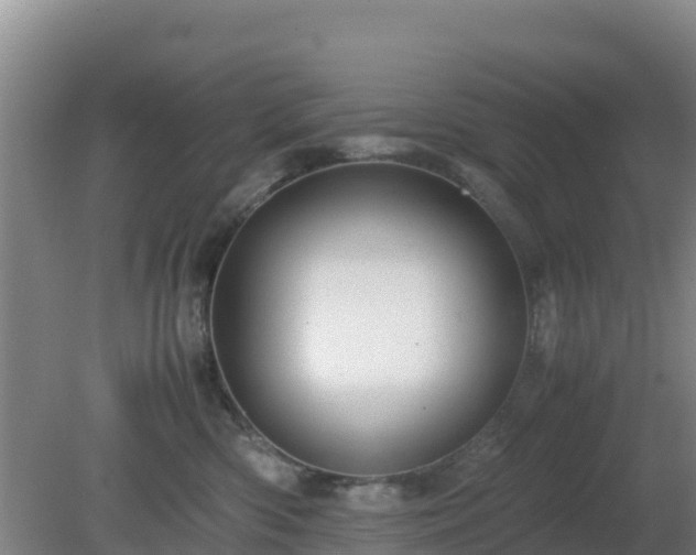 X0000081350426200701182051