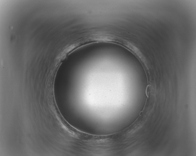 X0000081350433200701182051