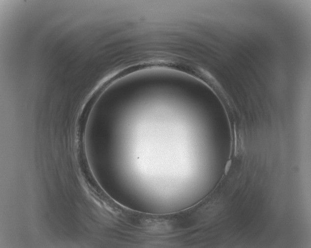 X0000081350435200701182051