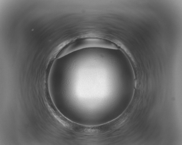 X0000081350437200701182051