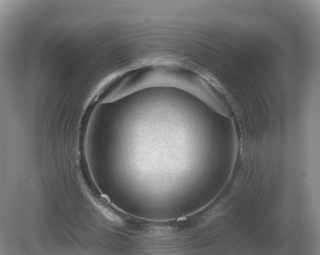 X0000081350438200701182051